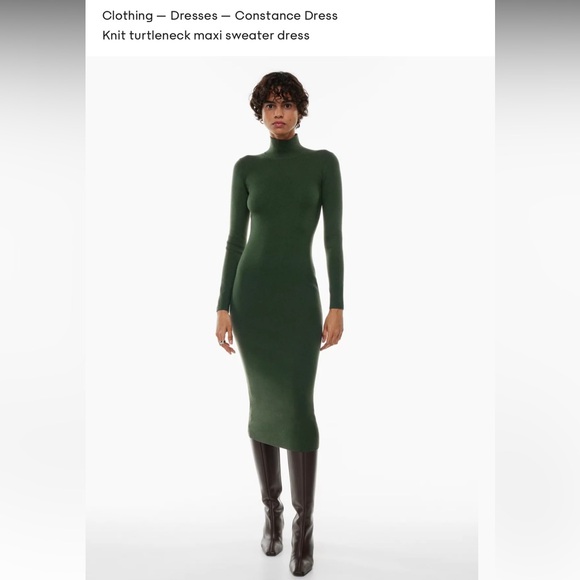 Aritzia / Wilfred Constance Dress - Picture 1 of 6